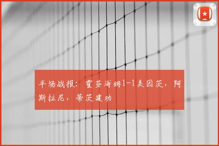 半场战报：霍芬海姆1-1美因茨，阿斯拉尼，蒂茨建功