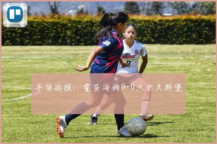 半场战报：霍芬海姆0-0沃尔夫斯堡